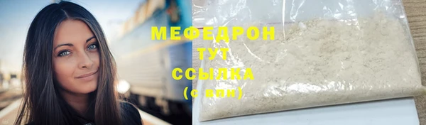 мдпв Заводоуковск