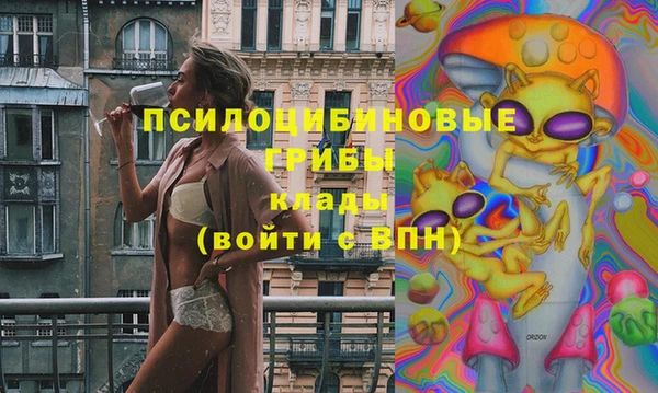 мдпв Заводоуковск